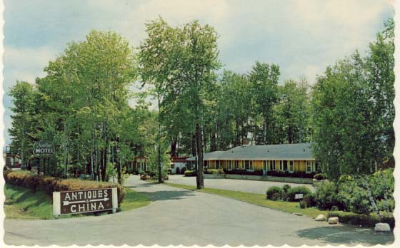 Treetops Motel and Restaurant in the 'Golden Triangle' postcard