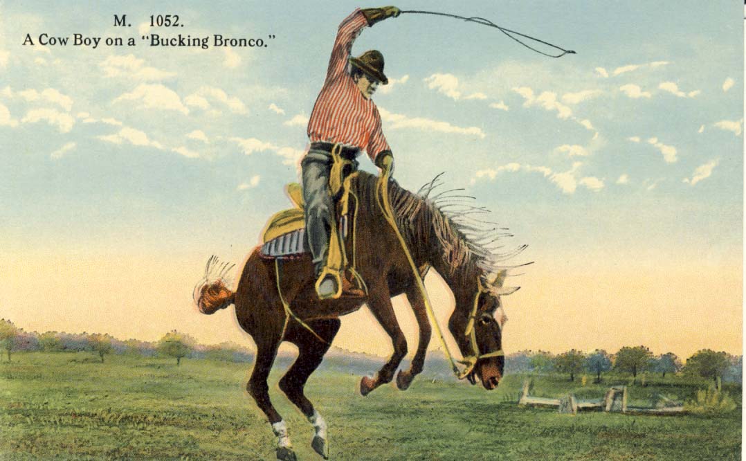 A cow boy on a bucking bronco postcard