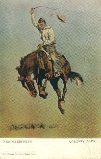 Bucking bronco, postcard 1906.
