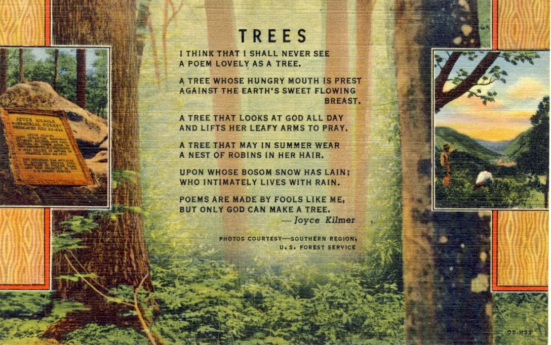 Trees postcard 1940