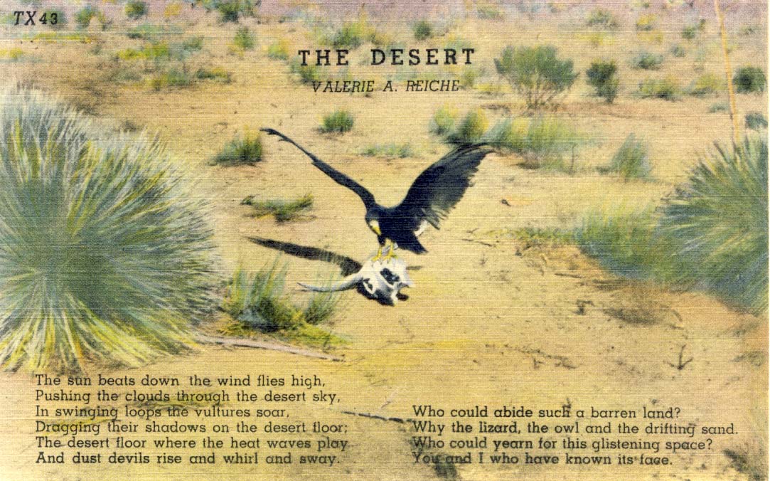 The desert postcard 1950s