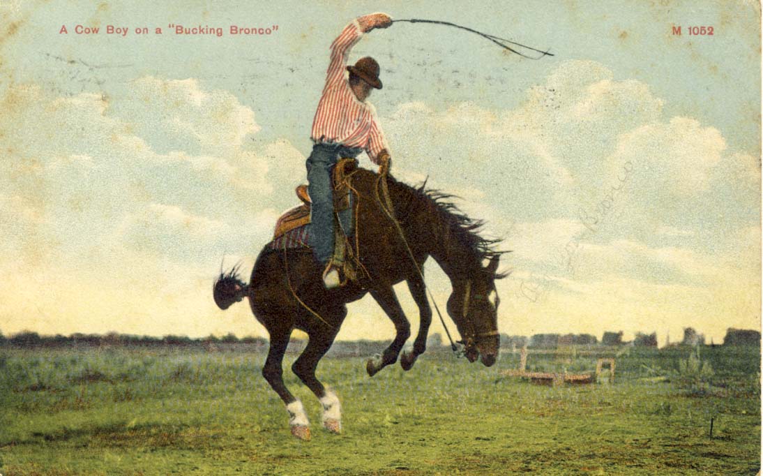 A cow boy on a 'bucking bronco', postcard 1910
