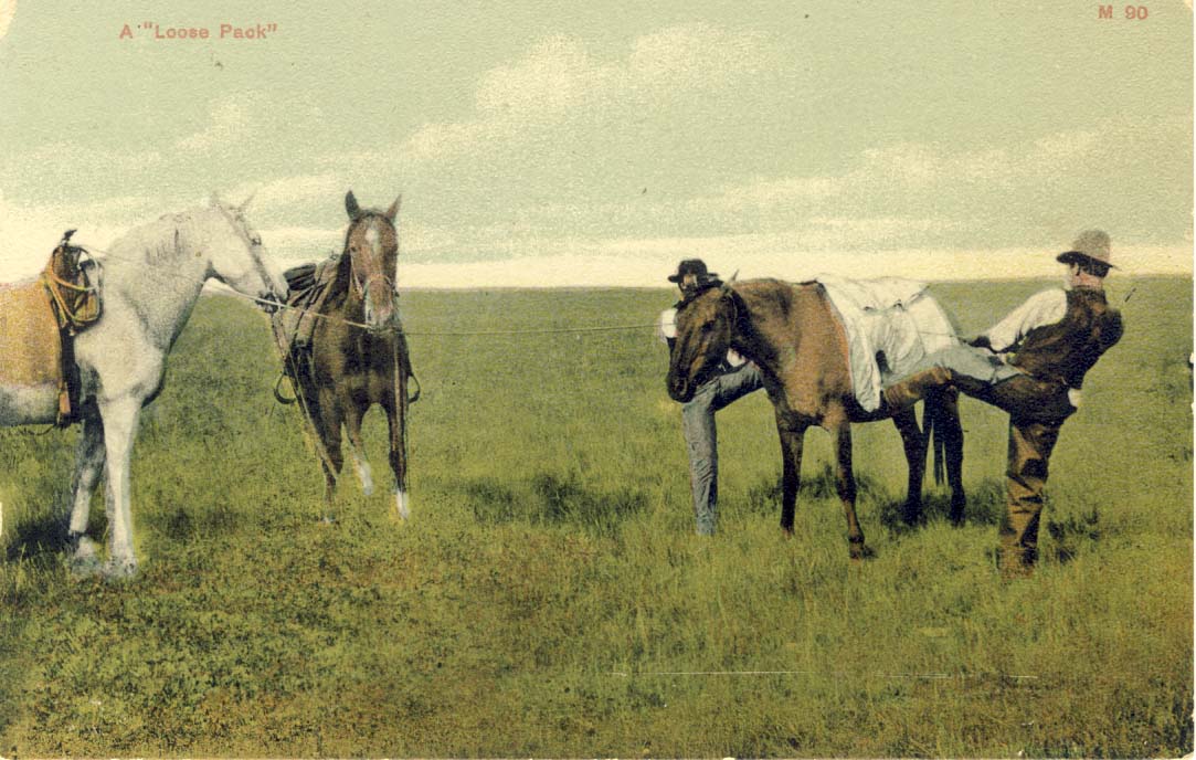 A 'loose pack', postcard 1900s
