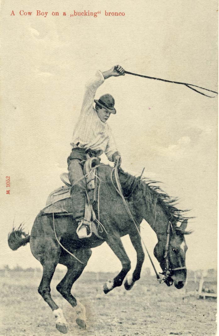 A cow boy on a 'bucking' bronco, postcard