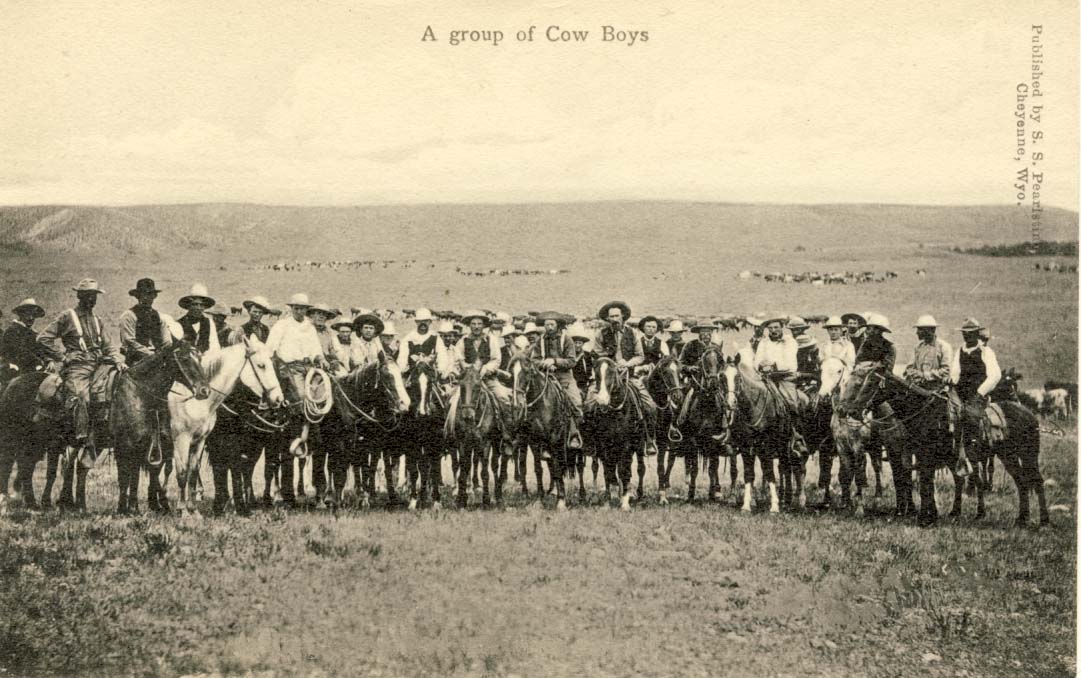 A group of cow boys postcard