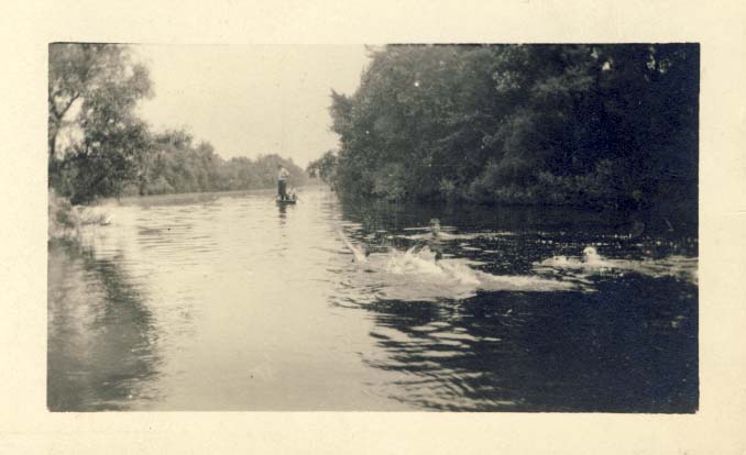 Group of men swimming in a stream photograph