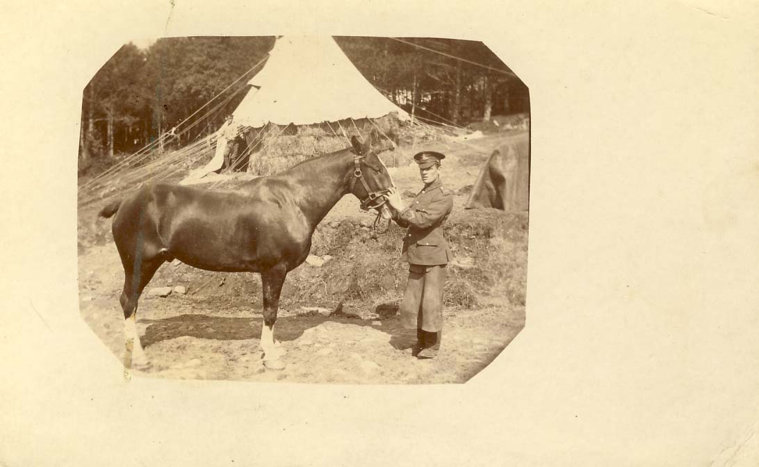 Warhorse with soldier standing in front; tent in background photograph