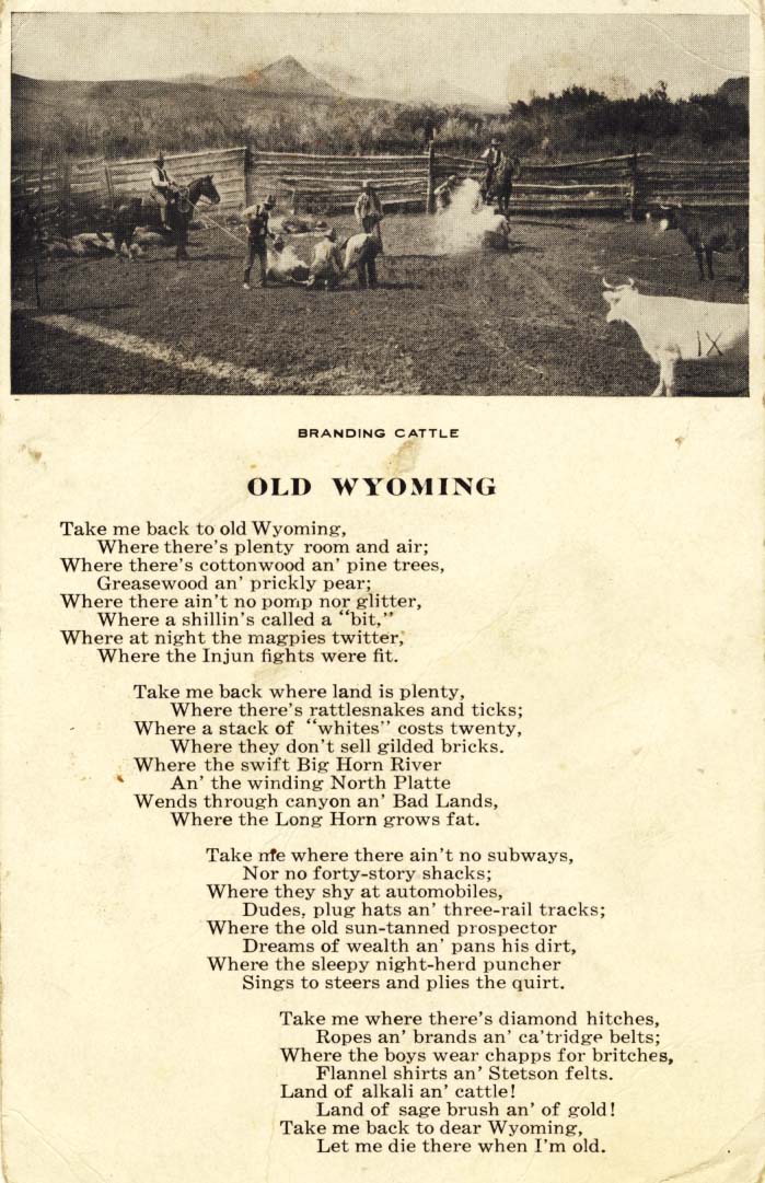 Old Wyoming: branding cattle postcard